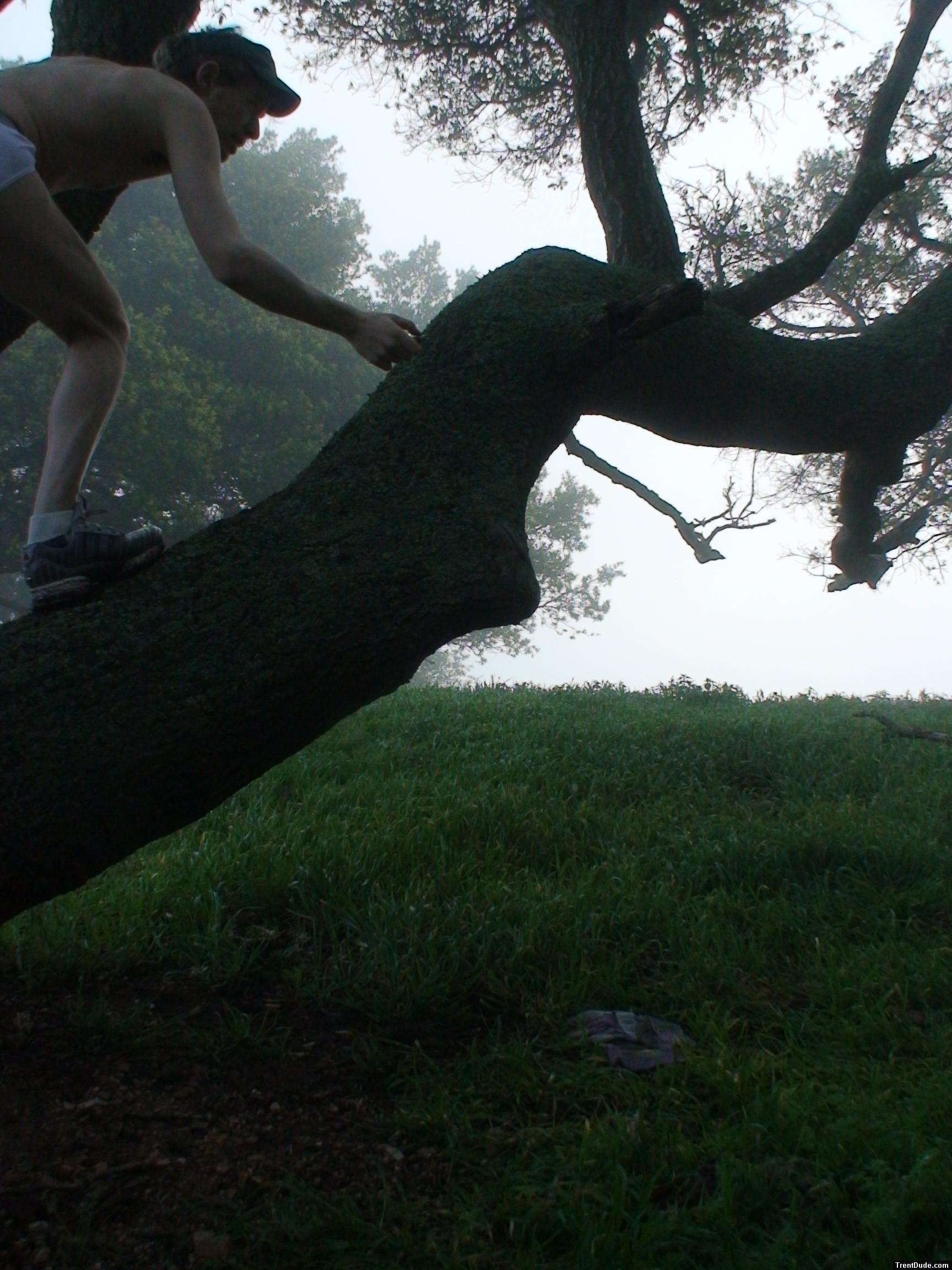 Climbing a tree in underwear