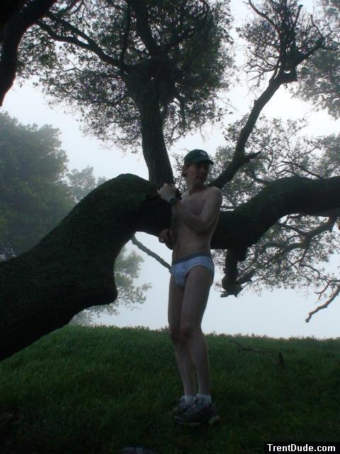 Jockey underwear next to a tree