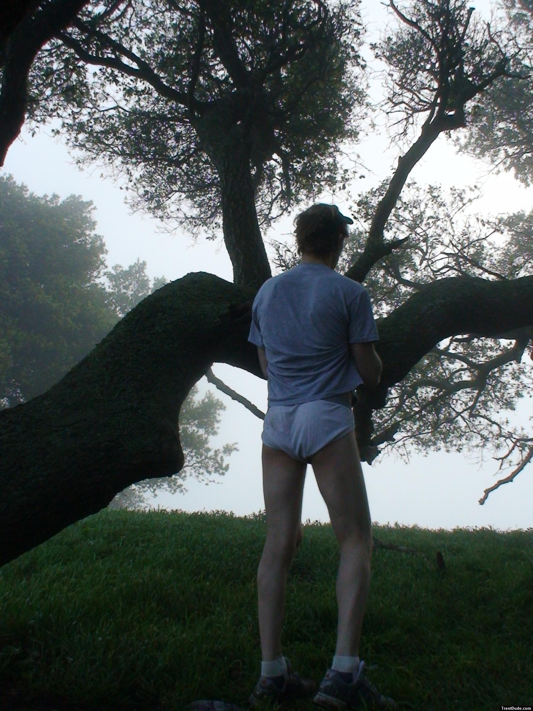Jockey briefs under a tree (rear)