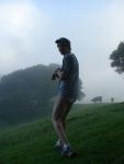 Cows on a foggy day