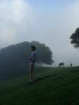 Watching the fog blow by with cows (favorite)