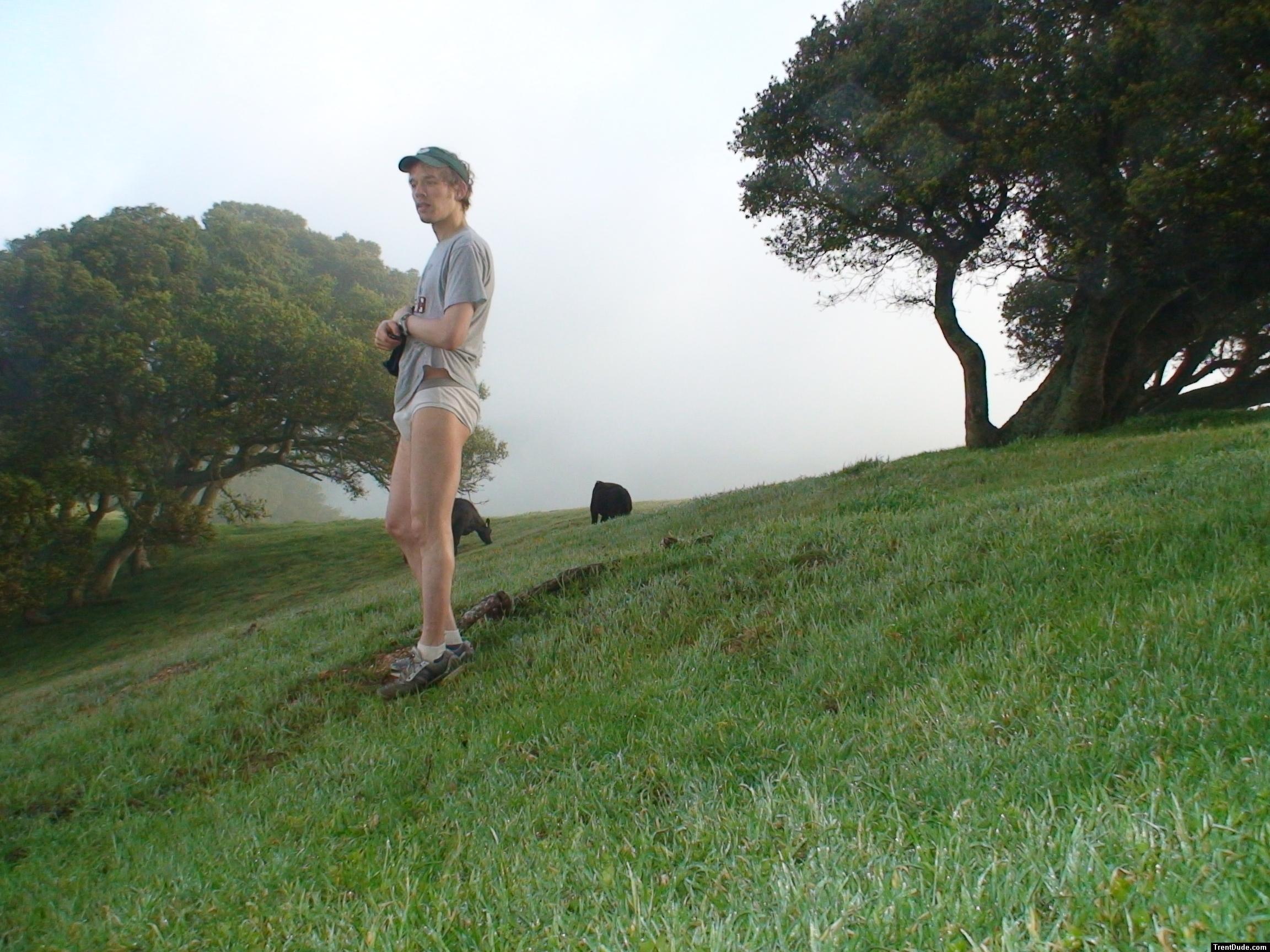 Obviously the cows aren't interested